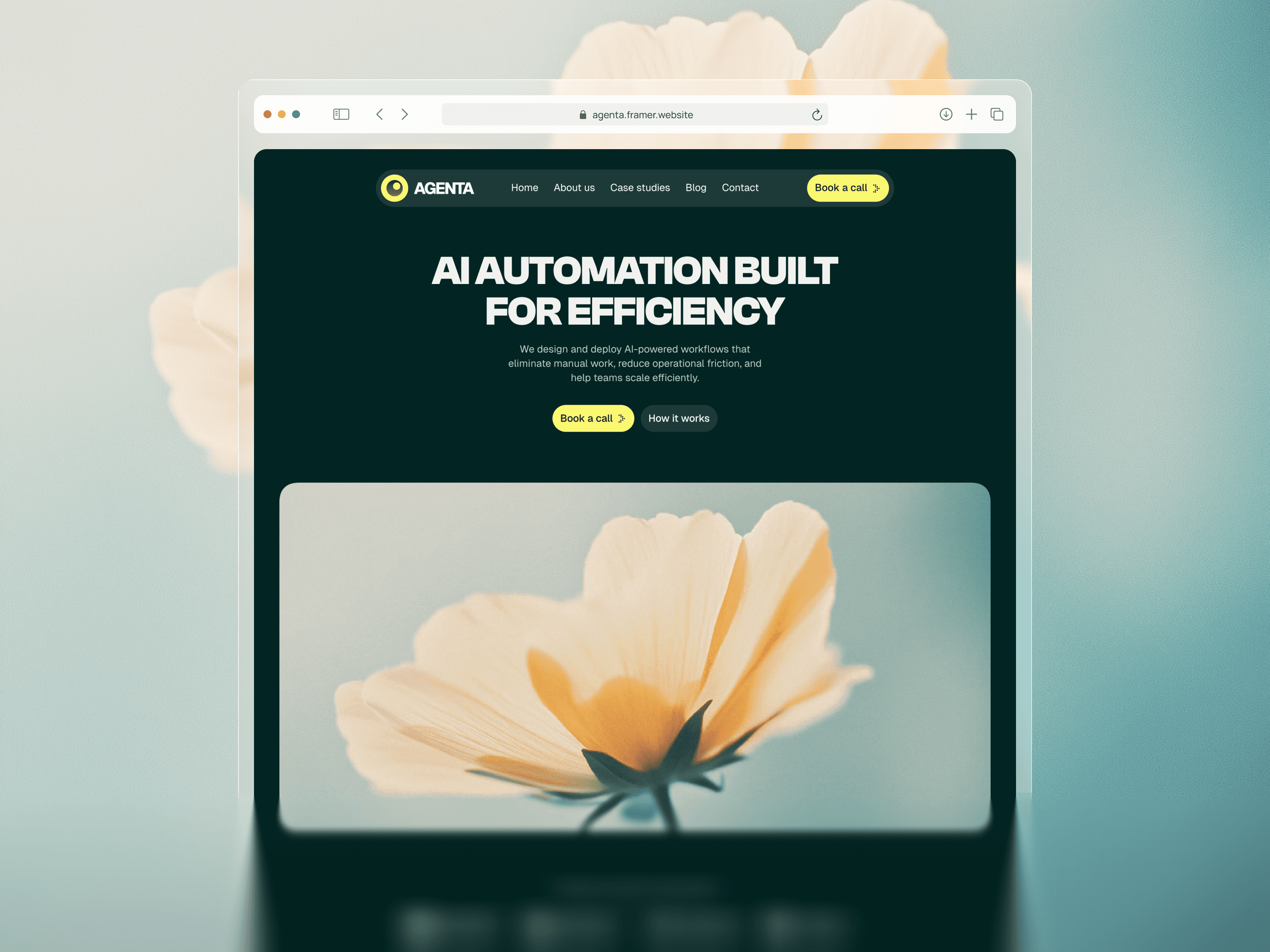 Describe this image here